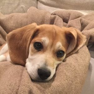 Meet your Posher, Isabel